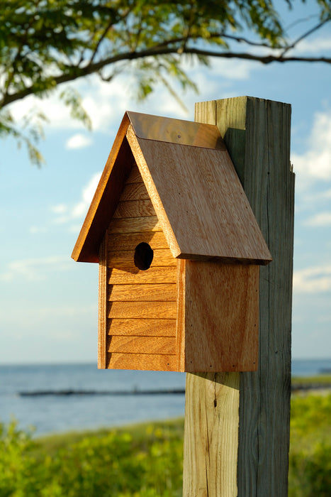 Heartwood Starter Home Bird House - Mahogany