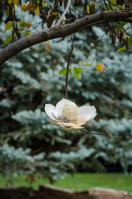 Desert Steel Coneflower Bird Feeder