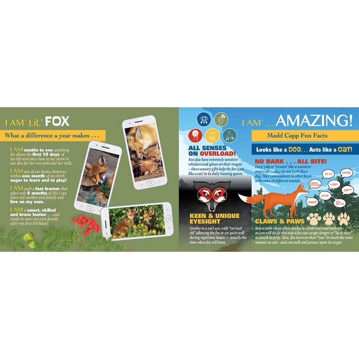 I AM LIL' FOX Puzzle 100 pcs