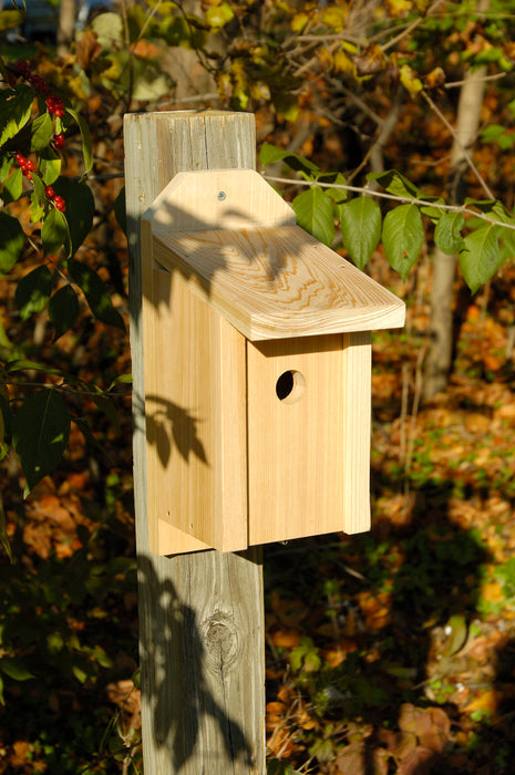 Heartwood Wren, Titmous & Nuthatch Joy Box Bird House - Solid Cypress