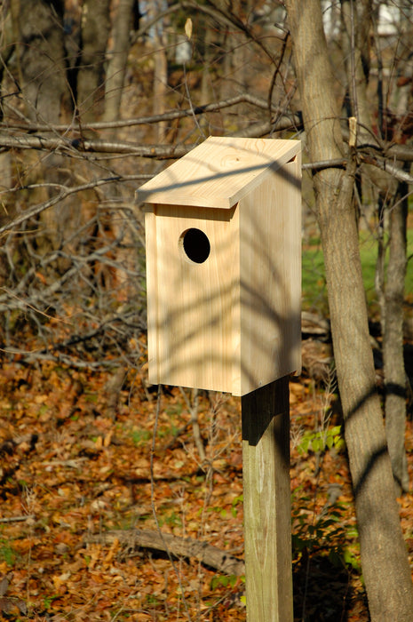 Heartwood Screech Owl Bird House - Solid Cypress