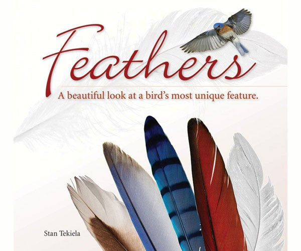 Feathers