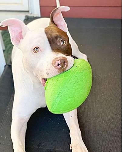 JOLLY PETS FOOTBALL