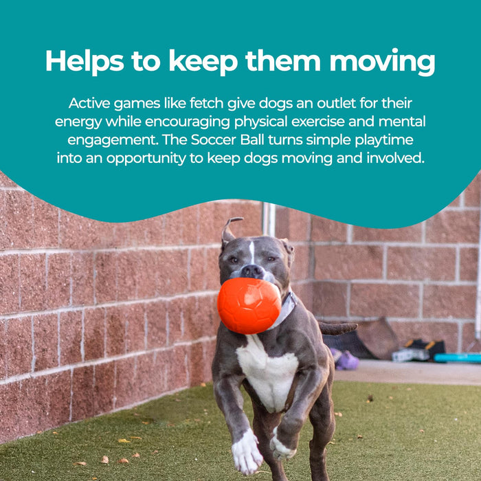 JOLLY PETS SOCCER BALL