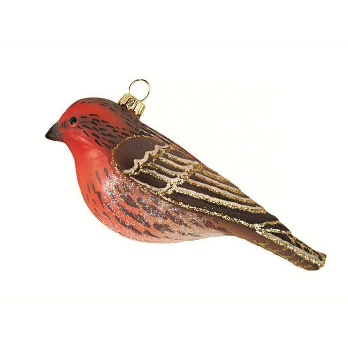 Cobane Studio  House Finch Ornament