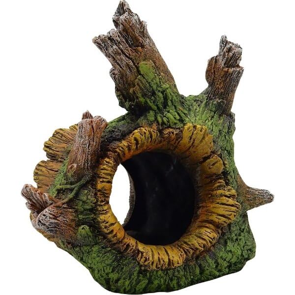 EXOTIC ENVIRONMENTS  TREE ROOT TUNNEL