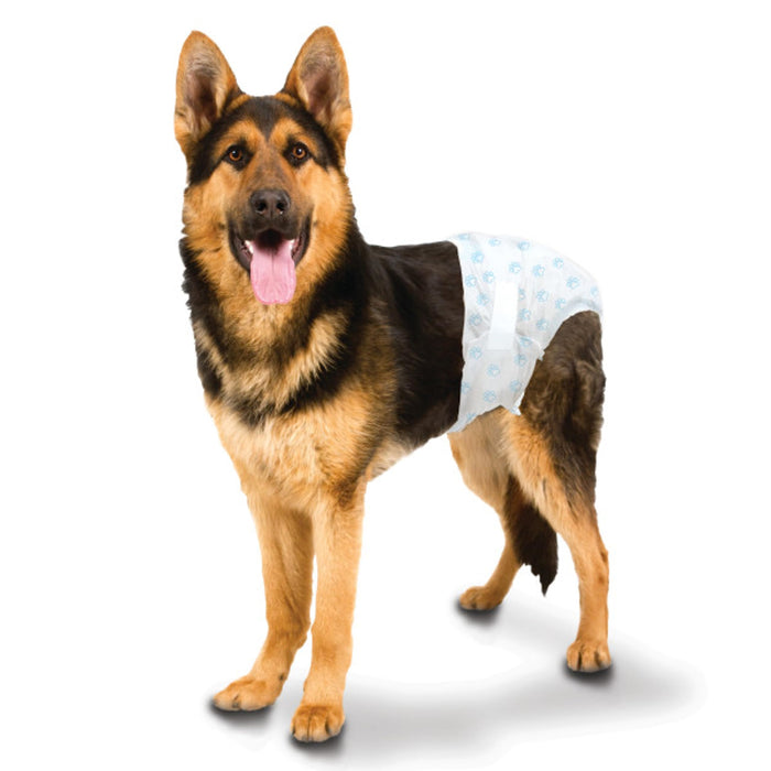 WEE-WEE DISPOSABLE DIAPERS