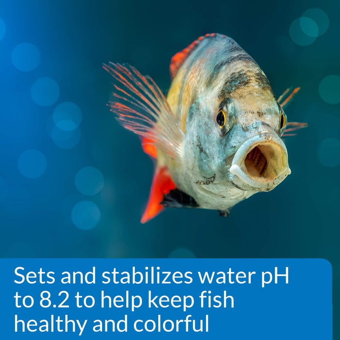 API PROPER PH 8.2