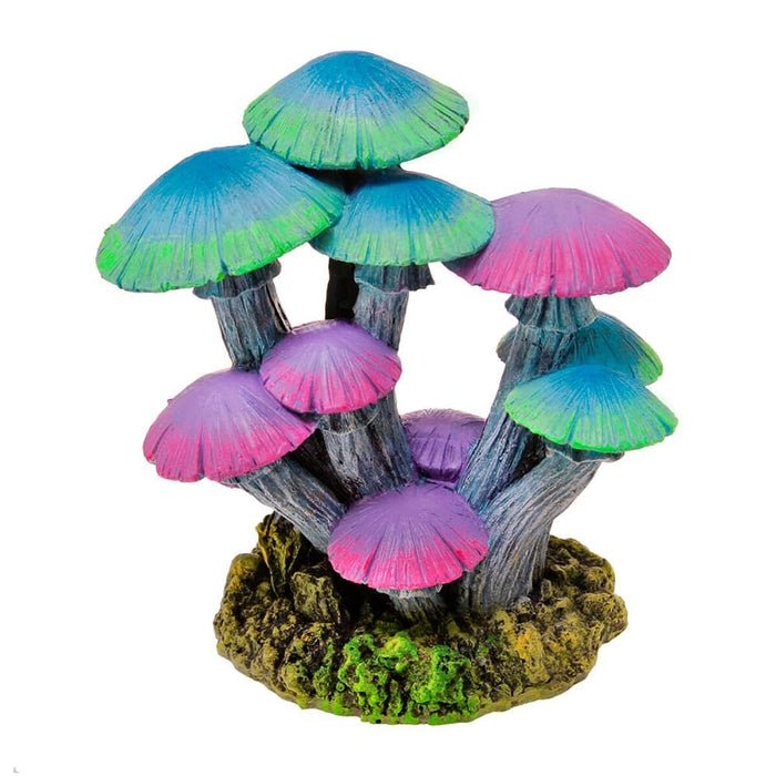 EXOTIC ENVIRONMENTS  MUSHROOM GARDEN