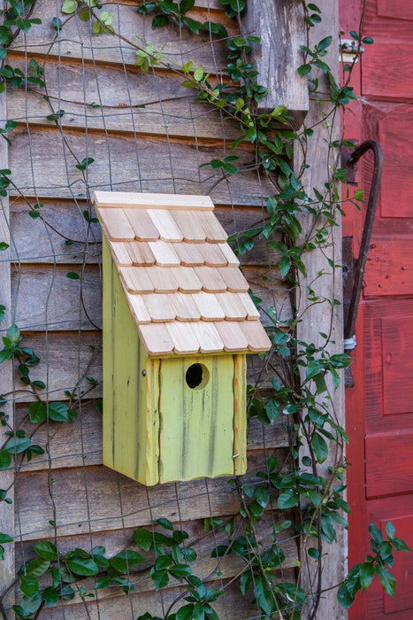Heartwood Bluebird Bunkhouse Bird House - Green Apple