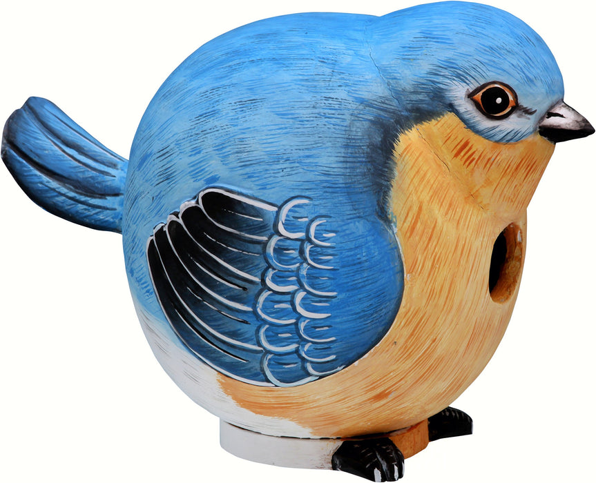 Bobbo from Songbird Essentials Bluebird Gord-O Bird House