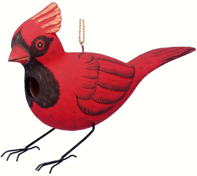Bobbo from Songbird Essentials Cardinal  Bird House