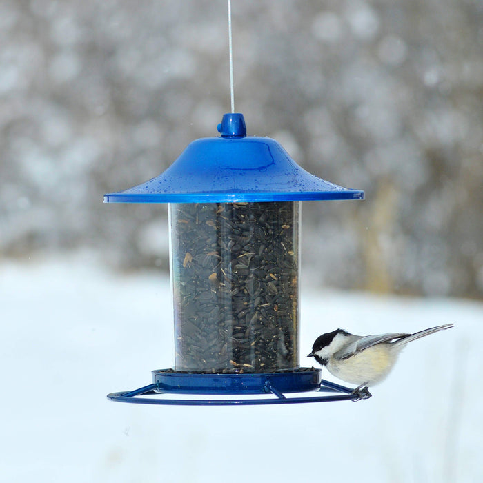 Blue Sparkle Panorama Feeder