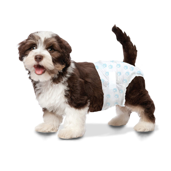 WEE-WEE DISPOSABLE DIAPERS
