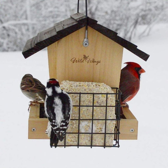 CEDAR HOPPER FEEDER W/SUET CAGES