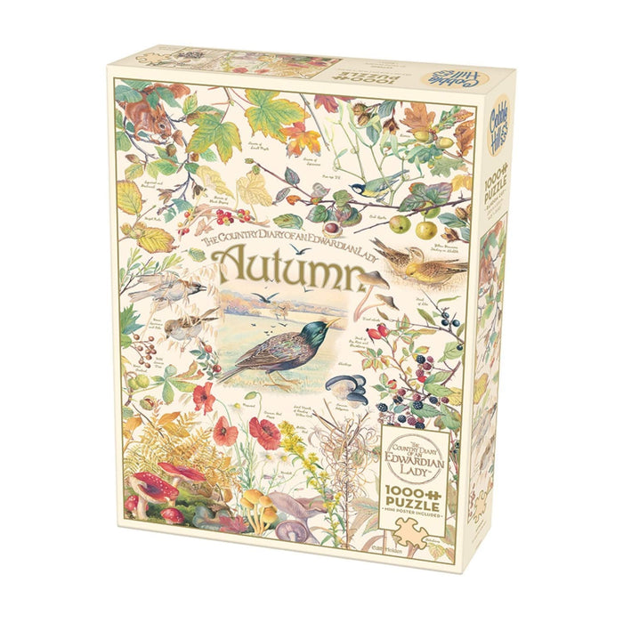 Country Diary: Autumn Puzzle 1
