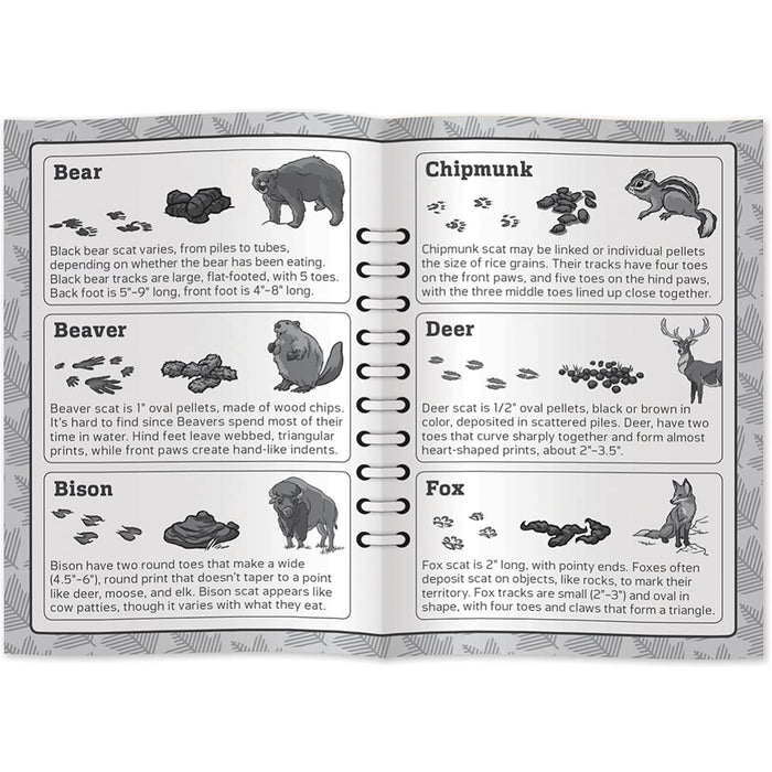 MasterPieces Puzzles Jr Ranger Poop Tracks Kids Card Game