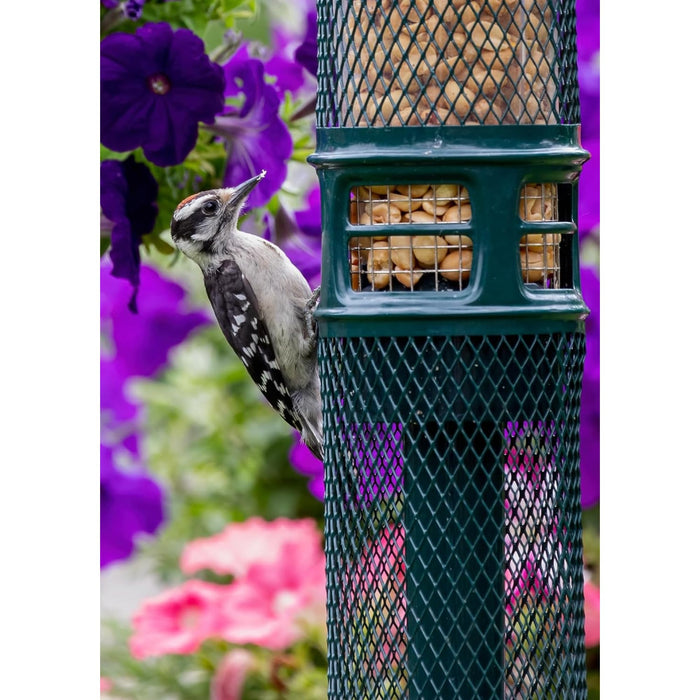 Squirrel Buster Nut Feeder Squirrel-Proof Bird Feeder for Nuts and Fruit, Two Meshes