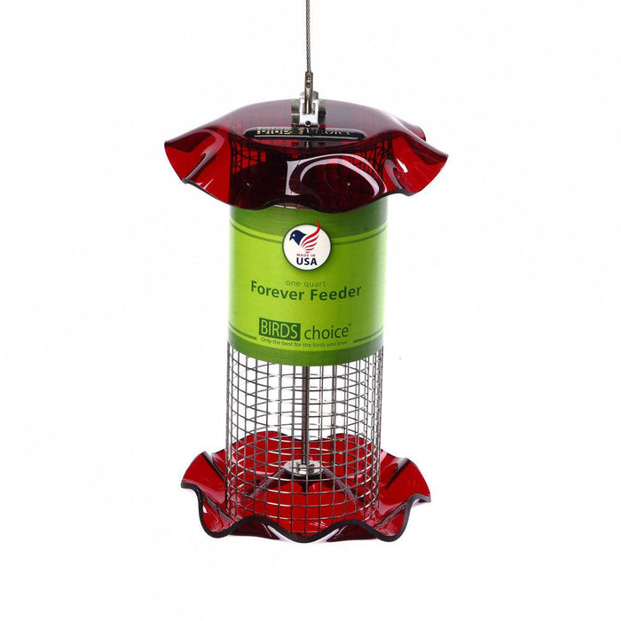 Birds Choice  Small Sunflower Seed Forever Feeder with Stainless Steel Screen in Red