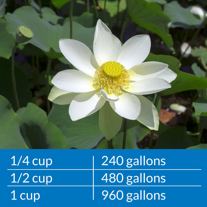 API POND AMMO-LOCK AMMONIA DETOXIFIER
