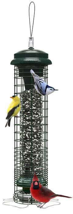 Brome Squirrel Solution 150 Squirrel-Proof Bird Feeder for Wild Birds – 4 Stainless Steel Perches, 2.6 lb Seed Capacity, Chew-Proof, Free Seed Funnel Included