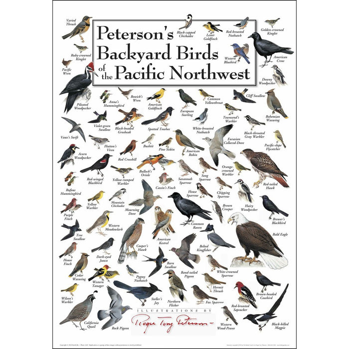 Peterson's Backyard Birds of Pacific NW Poster