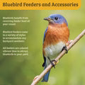 Birds Choice Bluebird Flower Feeder