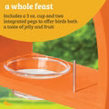 Birds Choice Oriole Feeder in Orange Recycled Plastic