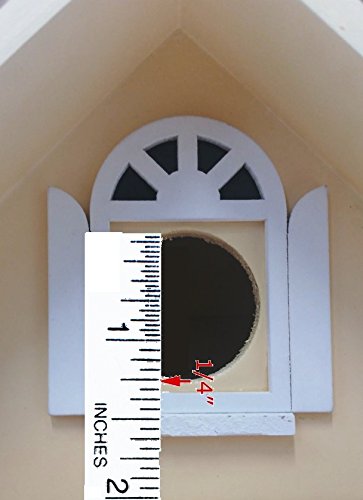 Home Bazaar Hobbit House - Mint Green