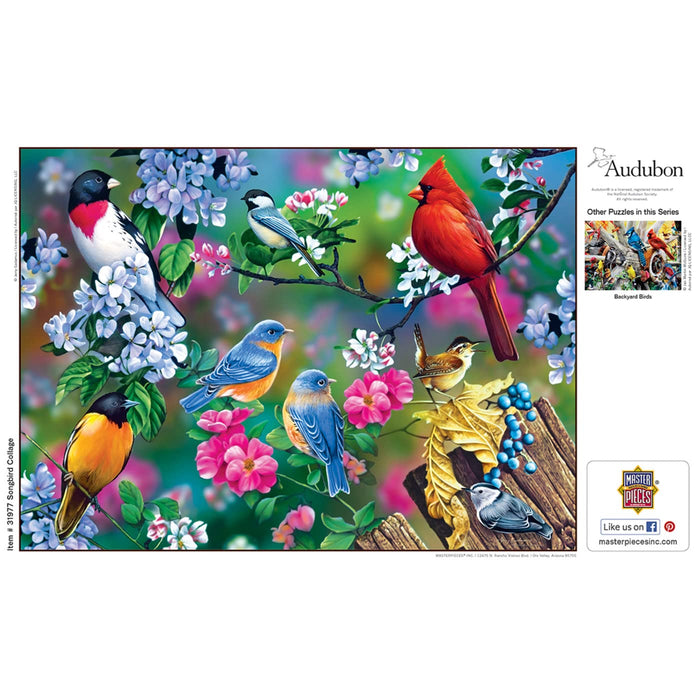 MasterPieces Puzzles Audubon Songbird Collage 1000 Piece Puzzle