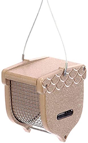 Birds Choice ACORN Peanut Feeder, Acord-Shaped Bird Feeder, 1 Quart, Taupe