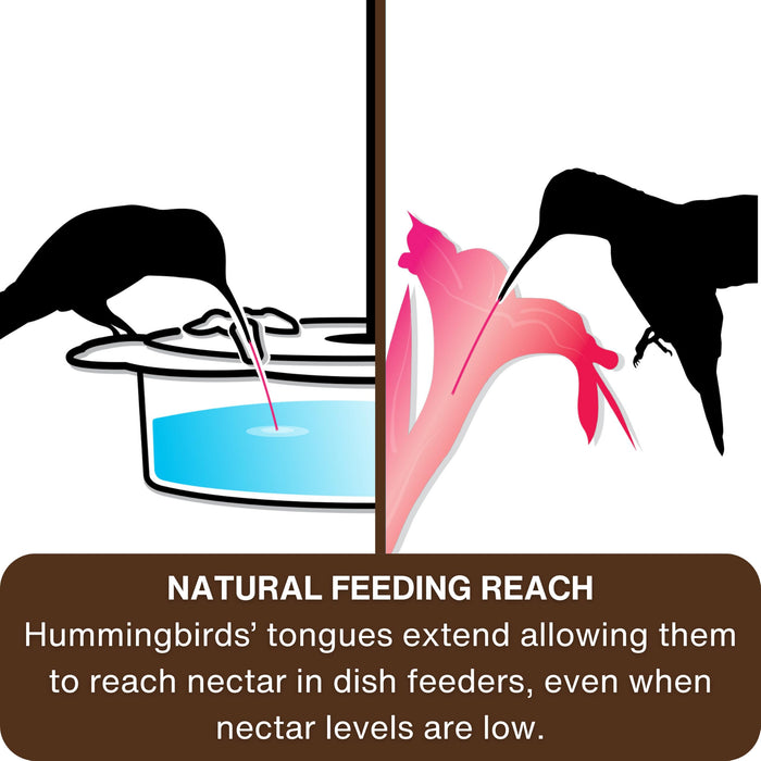 2-N-1 PLASTIC DISH HUMMINGBIRD FEEDER