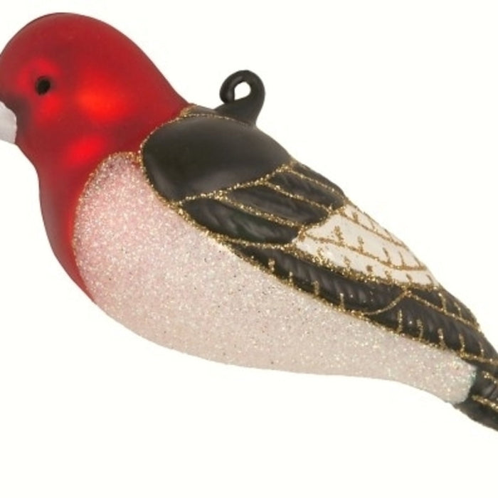 Cobane Studio  Red Headed Woodpecker Ornament