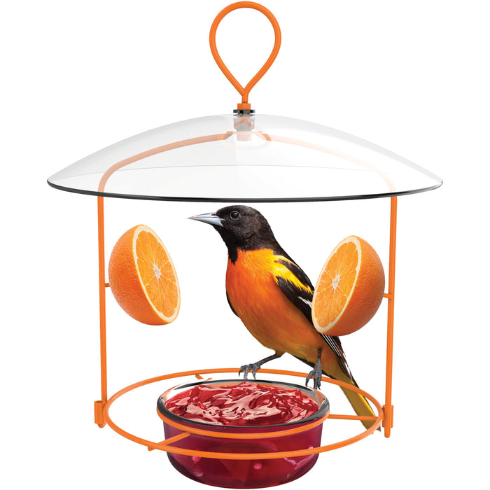 WIRE ORIOLE FEEDER