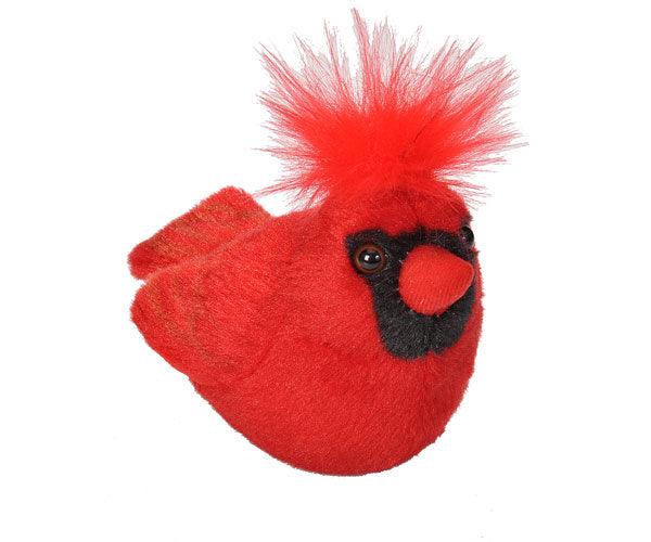 Cardinal