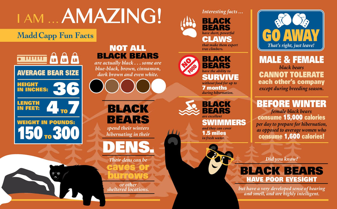 I AM BEAR Puzzle 550 pcs