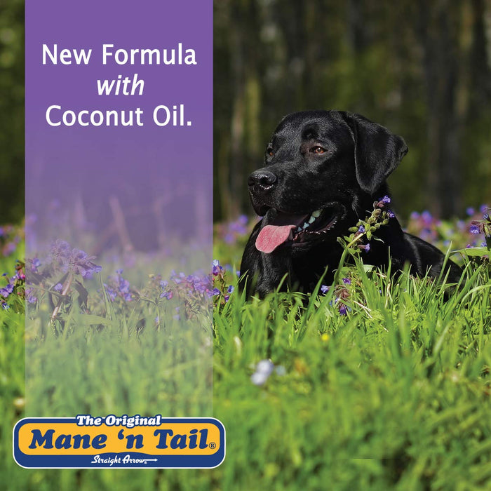 MANE 'N TAIL ULTIMATE GLOSS SHAMPOO