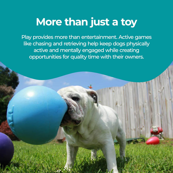 JOLLY PETS BOUNCE-N-PLAY BALL