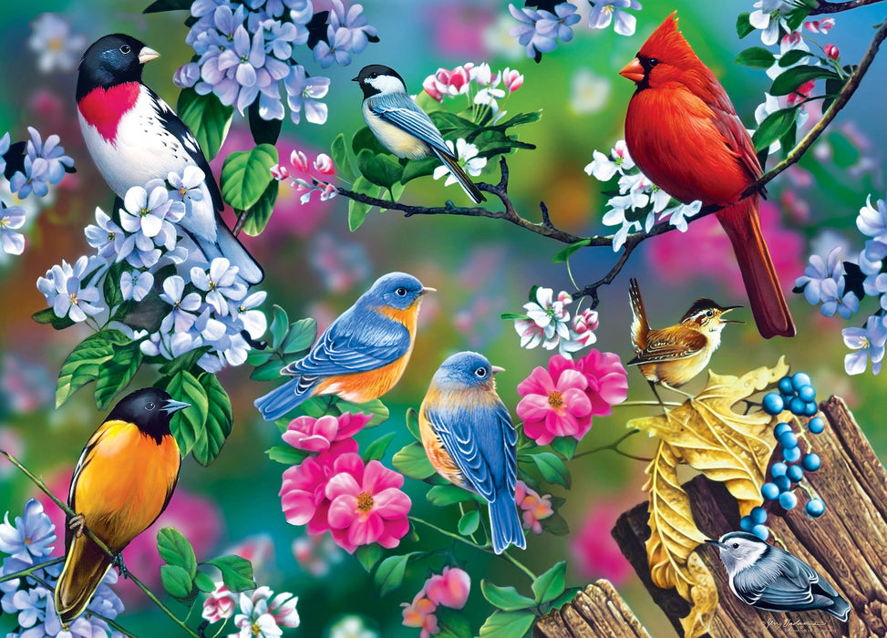 MasterPieces Puzzles Audubon Songbird Collage 1000 Piece Puzzle