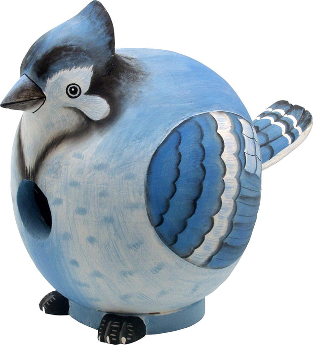 Bobbo from Songbird Essentials Blue Jay Gord-O Bird House