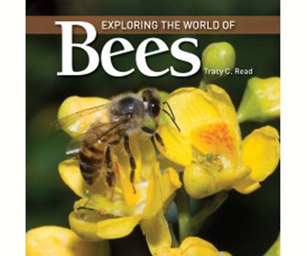 Exploring the World of Bees by Tracy Read