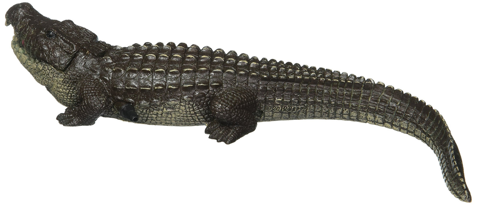 EXOTIC ENVIRONMENTS  BUBBLING ALLIGATOR