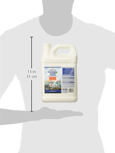 API POND MICROBIAL ALGAE CLEAN