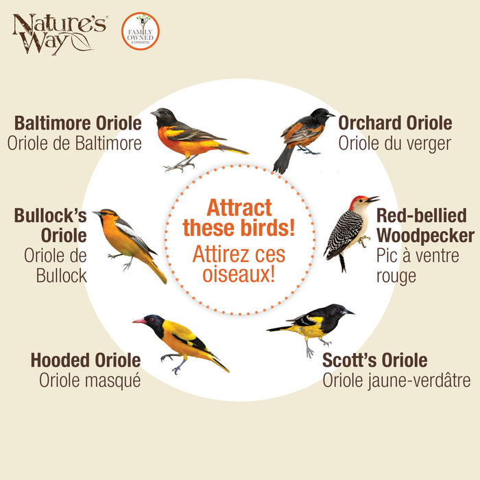 WIRE ORIOLE FEEDER