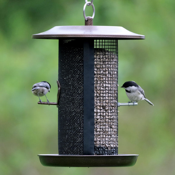 BELOVED BRONZE DUAL-CHAMBER METAL MESH BIRD FEEDER