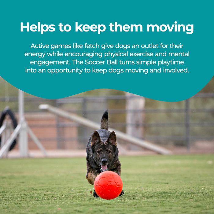 JOLLY PETS SOCCER BALL