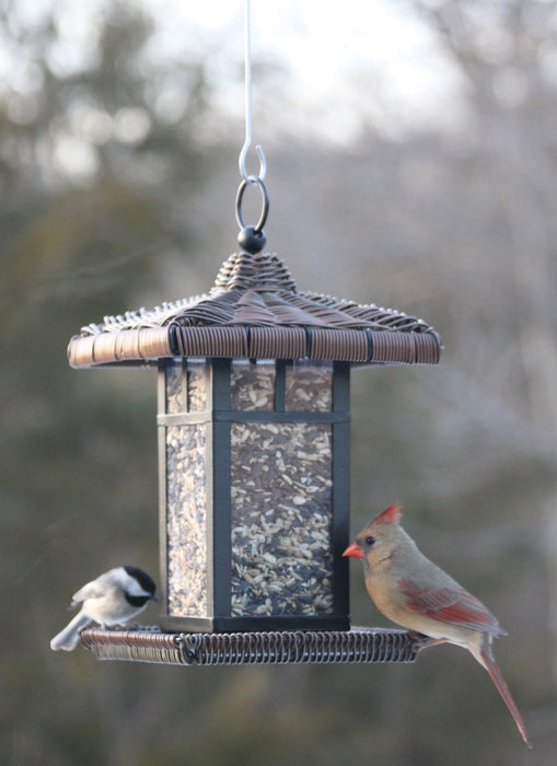 Audubon Wicker Square Lantern  Feeder