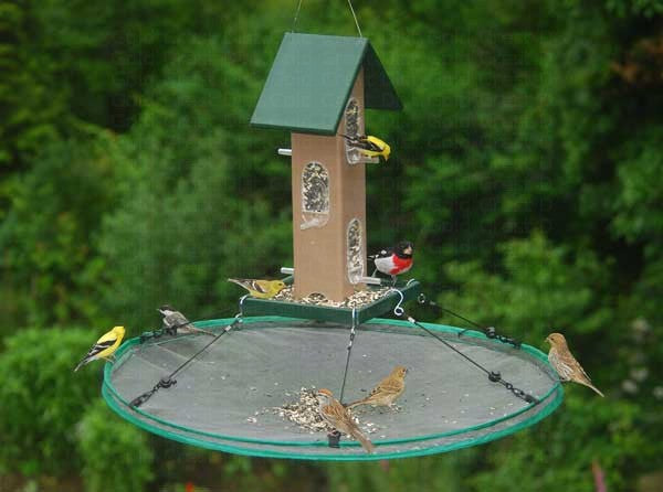Sunflower and Mixed Seed Bird Feeders: Seed Hoop 30 in SeedHoop