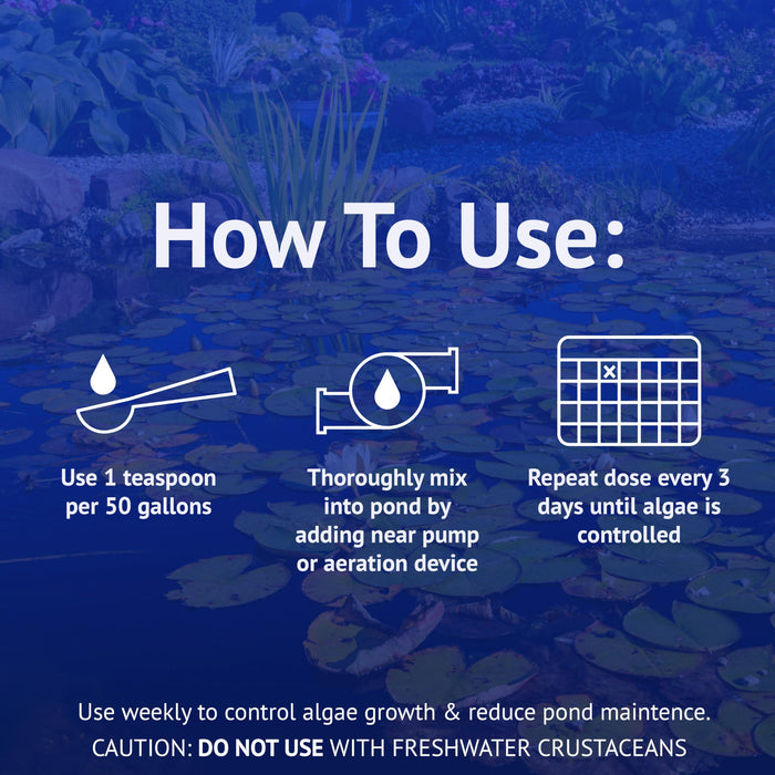 API POND ALGAEFIX