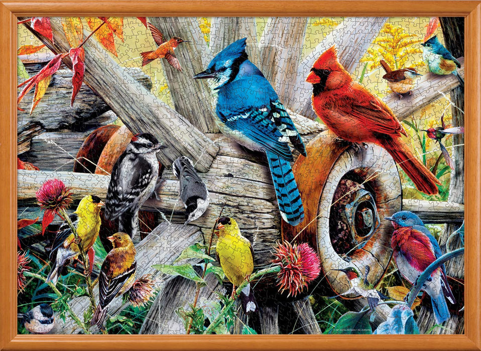 MasterPieces Puzzles Audubon Backyard Birds 1000 Piece Puzzle